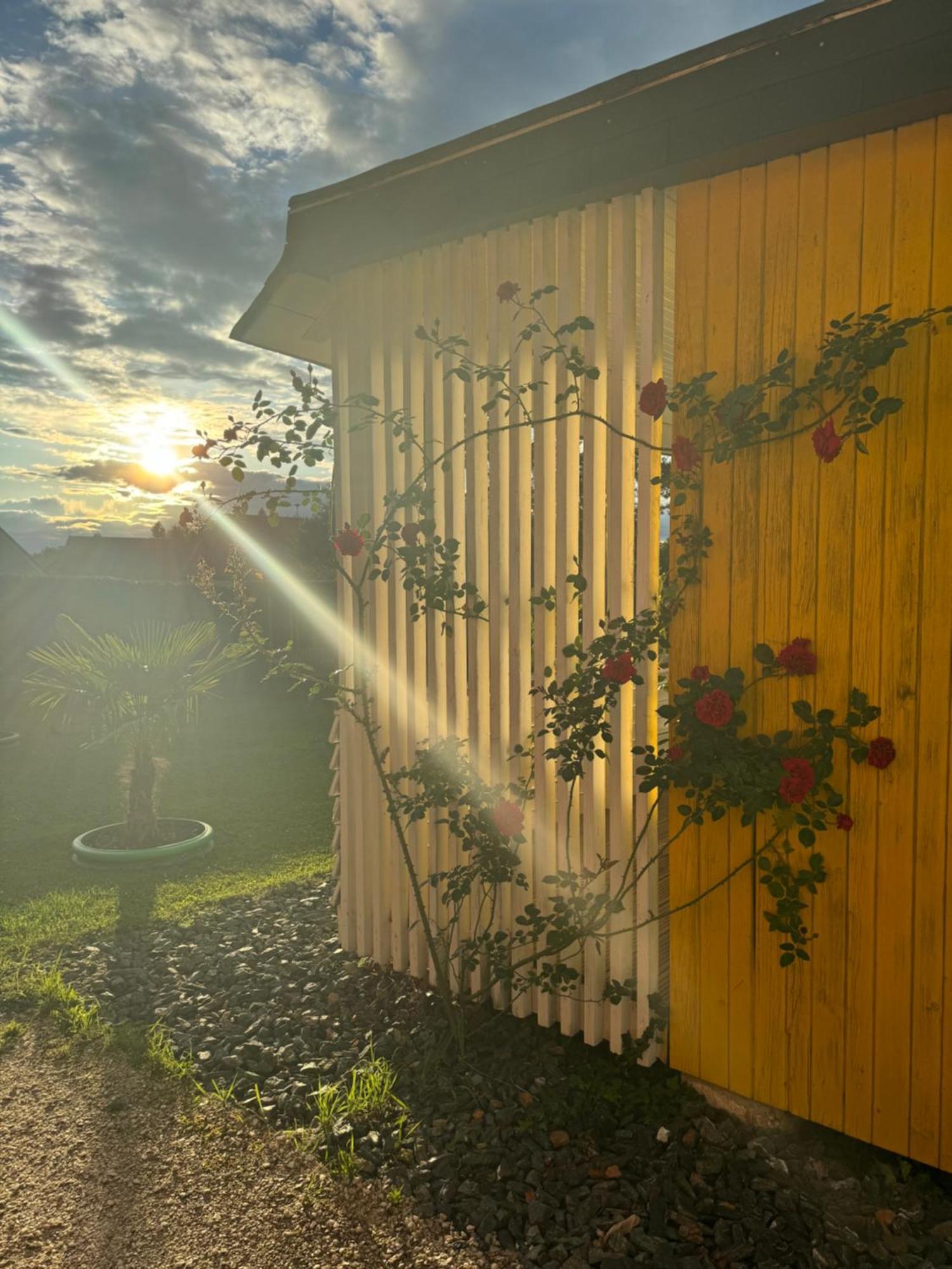 Bungalows Sonnenblume Am Klopeiner See Sankt Kanzian am Klopeiner See Exteriér fotografie